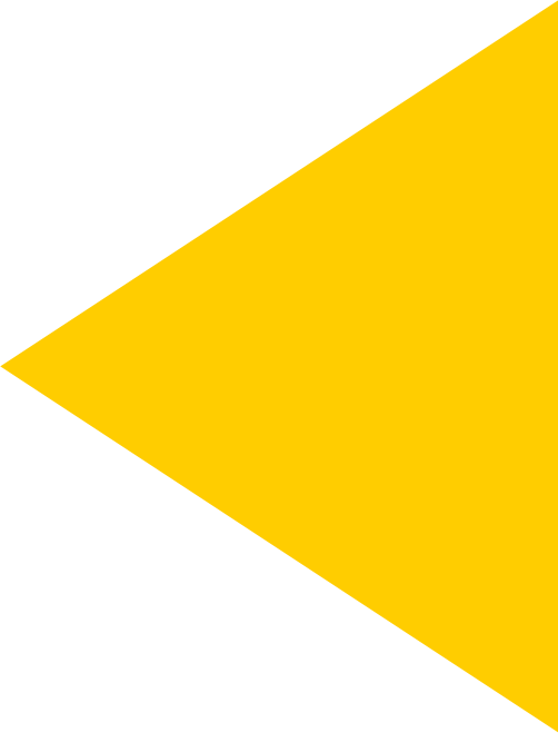 amarelo-bg-direito.png