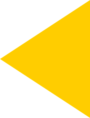 amarelo-bg-direito.png