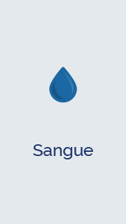 Sangue