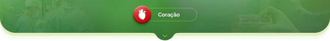 Coração
