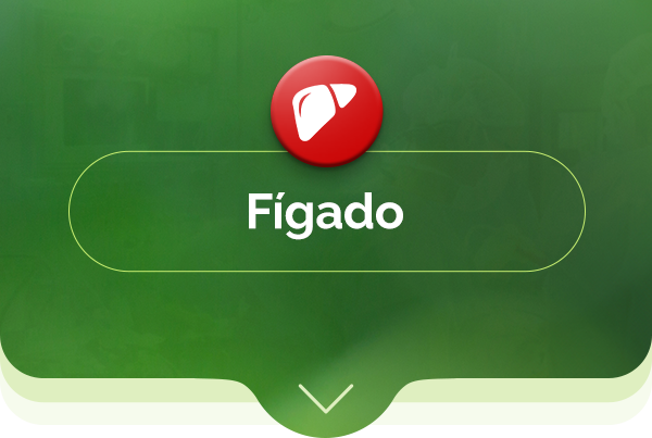 Fígado