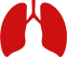 pulmao-icon.png