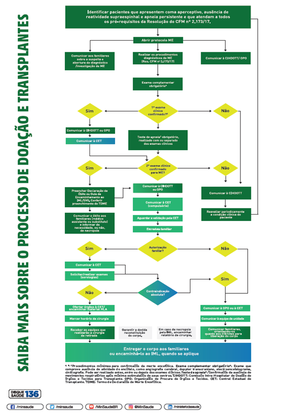 Fluxograma -  Processo de doação de órgãos e transplantes