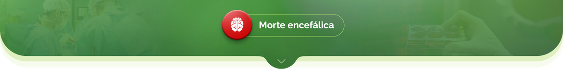 Morte encefálica