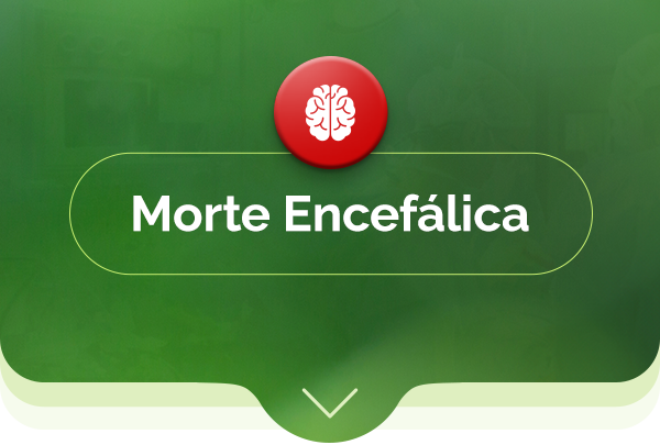 Morte encefálica
