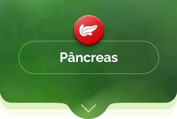 Pâncreas