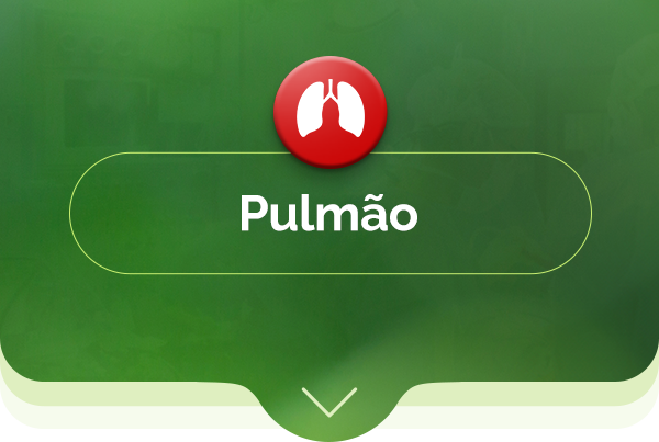 Pulmão