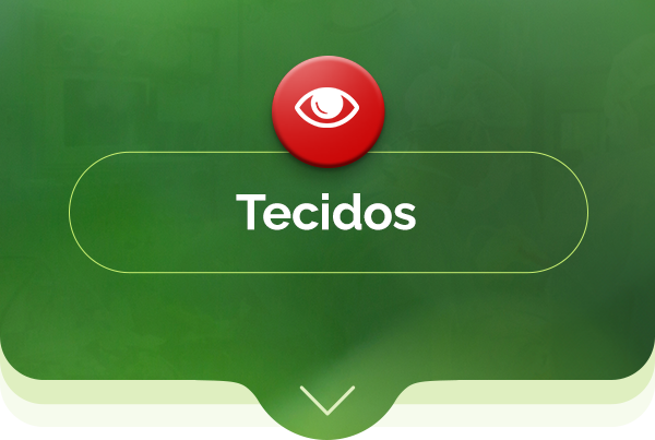 Tecidos
