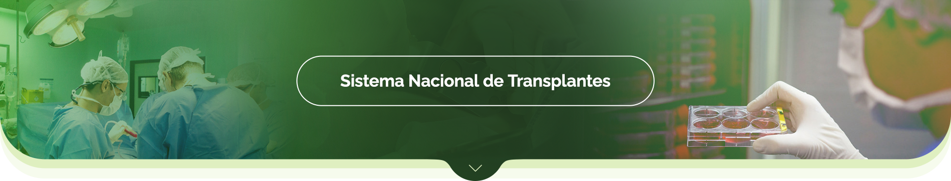 Sistema Nacional de Transplantes - SNT