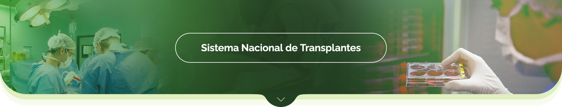 Sistema Nacional de Transplantes - SNT
