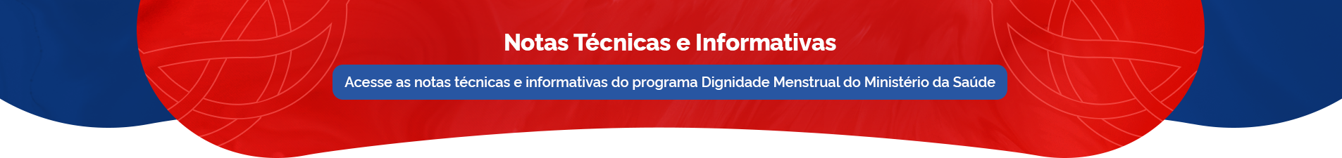 Acesse as notas técnicas e informativas do programa Dignidade Menstrual do Ministério da Saúde
