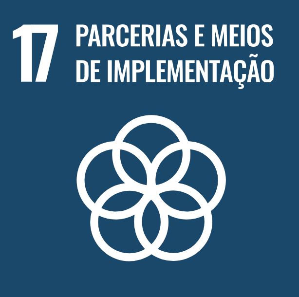 17. Parcerias e meios de implementação