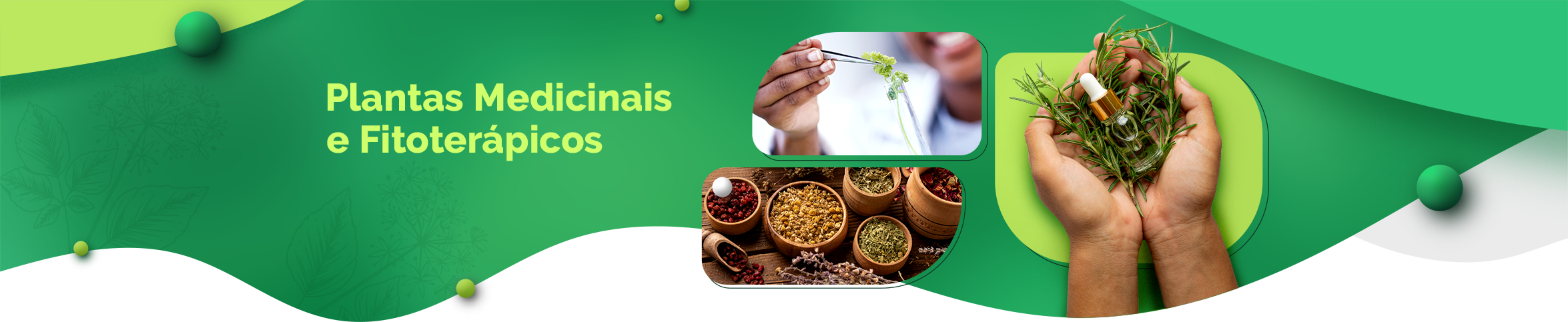 Plantas Medicinais e Fitoterápicos