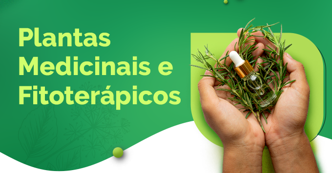 Plantas Medicinais e Fitoterápicos