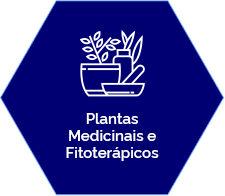plantas-medicinais