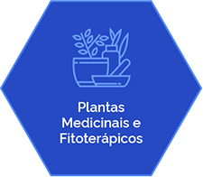 plantas-base