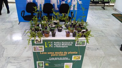 Foto 06