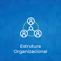 estrutura+organizacional.png