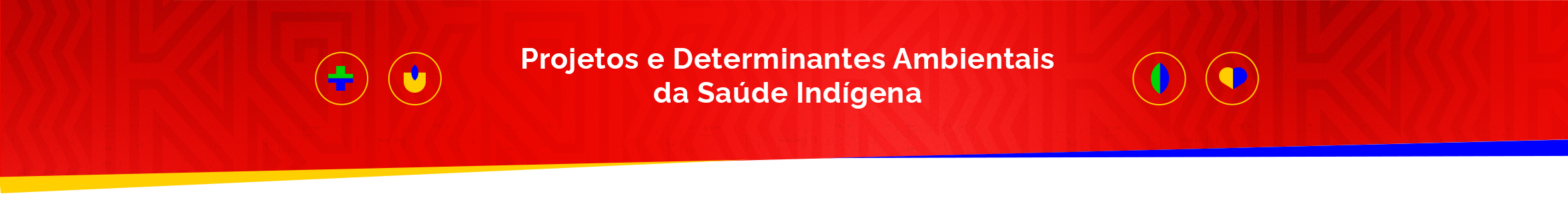 Projetos e Determinantes Ambientais da Sáude Indigena