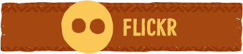 Flickr