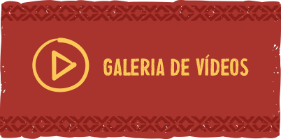 Galeria de Videos