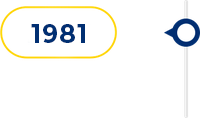 1981