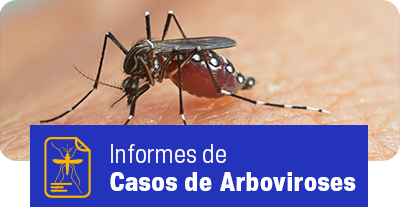 Informes de casos de Arboviroses