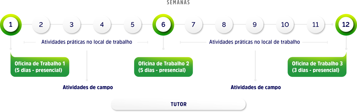 Modelo de Treinamento - Nível Fundamental: Semanas 1 a 5: Oficina de Trabalho 1 (5 dias - presencial) - Atividades práticas no local de trabalho (Atividade de Campo); Semana 6 a 11 - Oficina de trabalho 2 (5 dias - presencial) Atividades práticas no local de trabalho (Atividades de campo); Semana 12 - Oficina de trabalho 3 (3 dias - presencial) - Atividades práticas no local de trabalho (Atividades de campo)