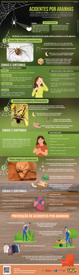 Acidentes por aranhas