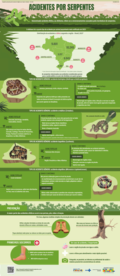 Acidentes por serpentes