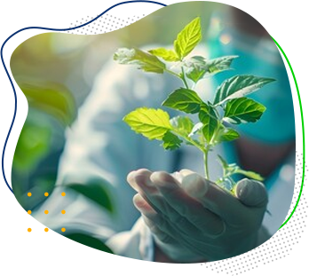 Atendimento saúde ambiental