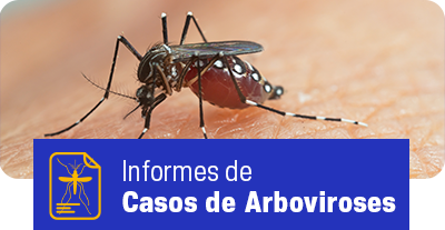 Acesse os Informes dos Casos de Arboviroses