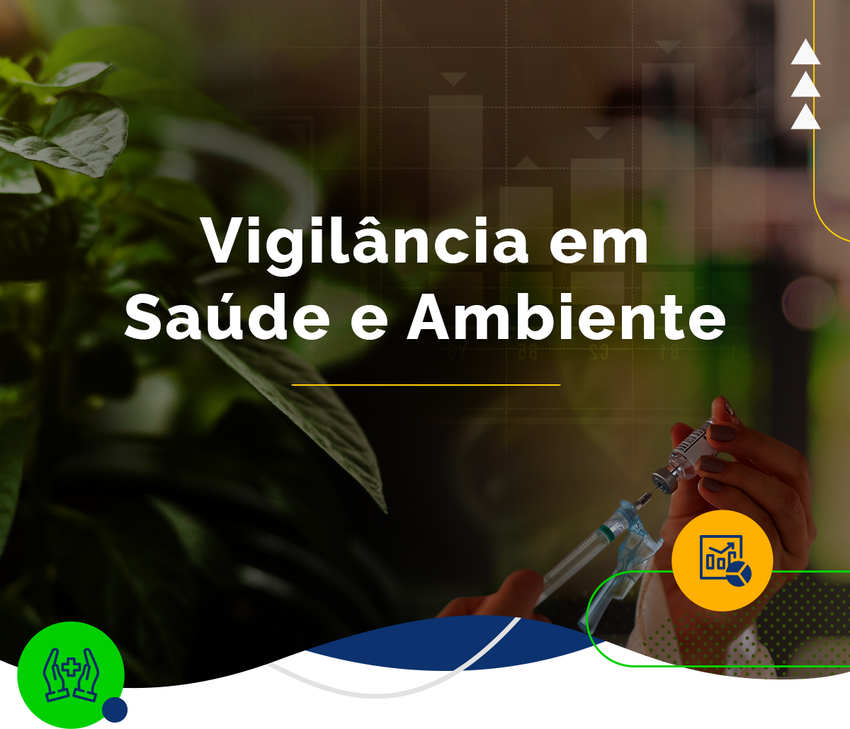 Vigilância em Saúde e Ambiente