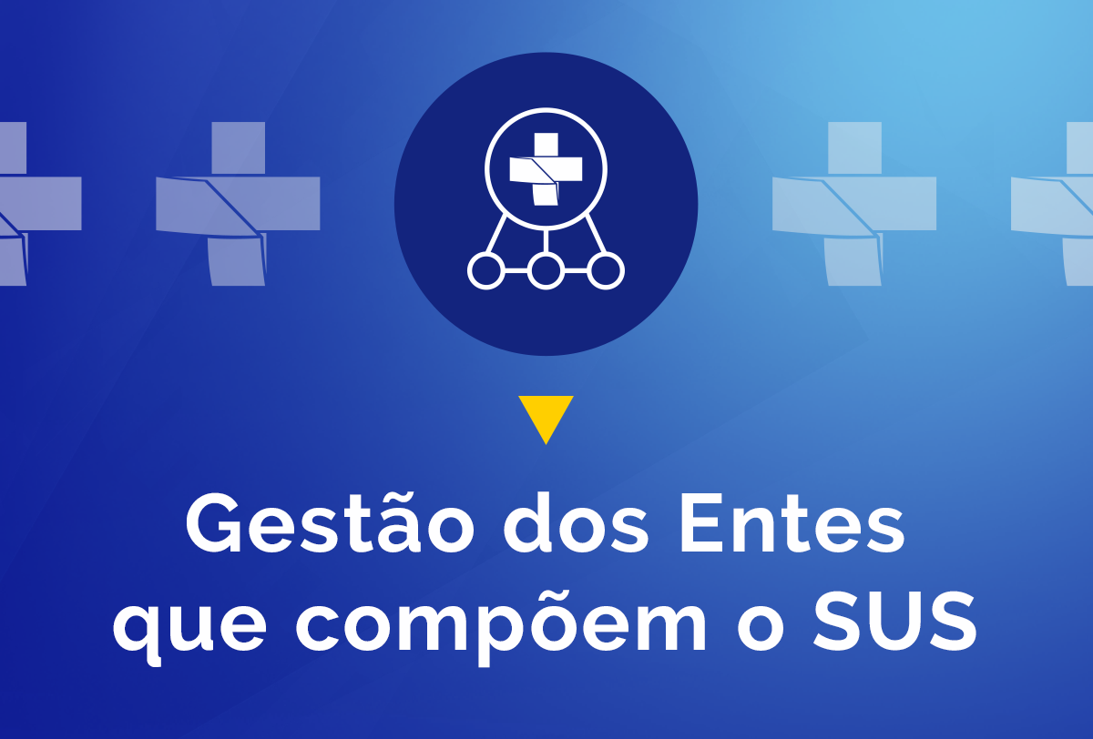 Gestão dos Entes que compõem o SUS