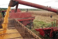 Brazilian agribusiness exports reach USD 15.20 bi in June, total USD 82.39 bi in first half of 2024