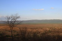 Federal Government announces 2nd Eco Invest Auction, focused on restoring degraded lands