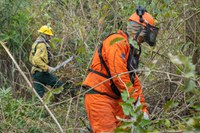Brazil records 56.8% drop in hotspots, 61% decrease in burned areas in July