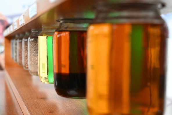 Programa Nacional de Biodiesel completa 20 anos promovendo transição energética aliada à Lei do Combustível do Futuro