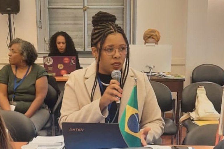 Reunião de Ministros e Altas Autoridades sobre os Direitos dos Afrodescendentes do Mercosul