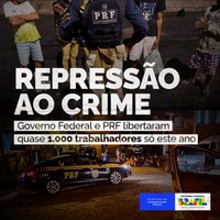 Quase 1.000 pessoas já foram libertadas de trabalho análogo à escravidão este ano: são mais de 11 resgates por dia