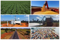 Investimentos federais impulsionam escoamento da safra agrícola