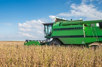 Exportações do agronegócio são recorde em julho: US$ 14,4 bilhões