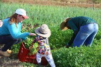 Safra e crédito foram recordes para agronegócio e agricultura familiar