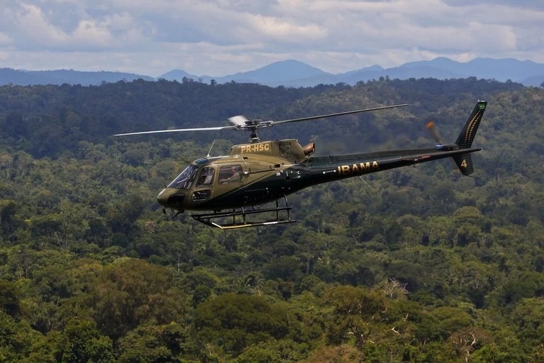 Área sob alertas de desmatamento na Amazônia cai 50% em 2023