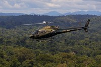 Área sob alertas de desmatamento na Amazônia cai 50% em 2023