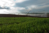 BNDES anuncia mais R$ 3 bilhões para crédito pelo Plano Safra