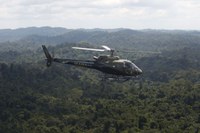 Fundo Amazônia tem recorde de R$ 1,3 bilhão aprovados para projetos e chamadas públicas em 2023