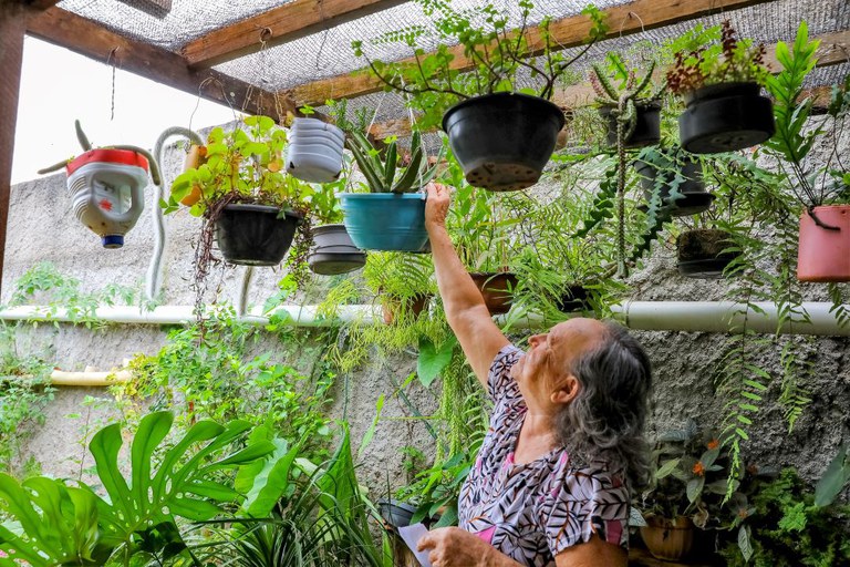 Prevenção dengue.jpg