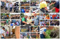 Dia D contra a dengue mobiliza o país na prevenção aos focos do mosquito