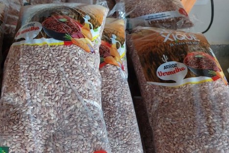 Arroz vermelho produzido pela CooperXique